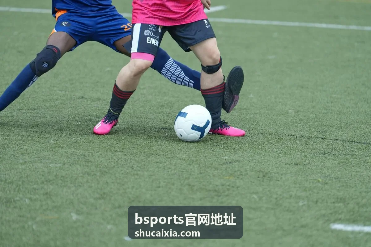 bsports官网地址赛事数据媒体从业者